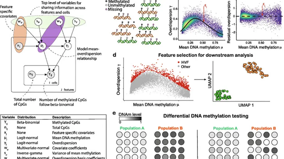 Graphical outline for scMET – for details see Kapourani A et al. Genome Biol. 2021 Apr 20;22(1):114.