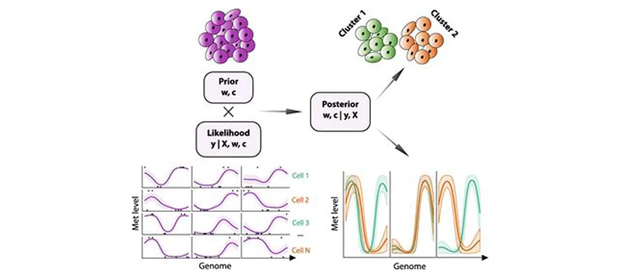 Melissa Model Overview